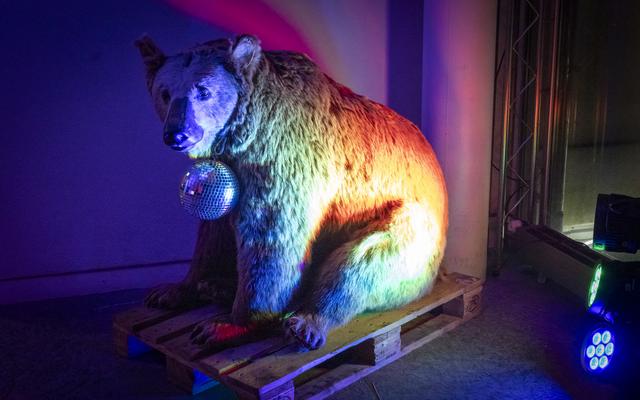 Bar der toten Tiere 2025